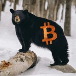 Bitcoin bear market en crypto winter
