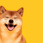 Kryptoinvestoren kaufen legendäre Dogecoin und Shiba Inu Meme