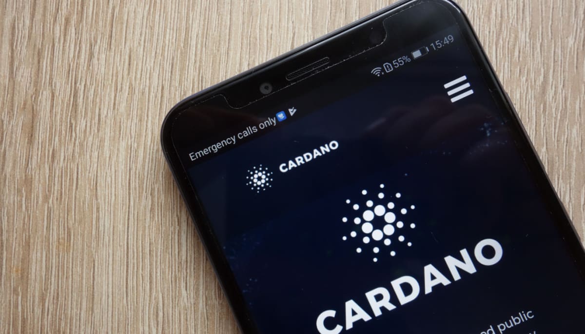 Cardano's Hoskinson wehrt sich gegen die Behauptungen von Bitcoin-Bulle Saylor