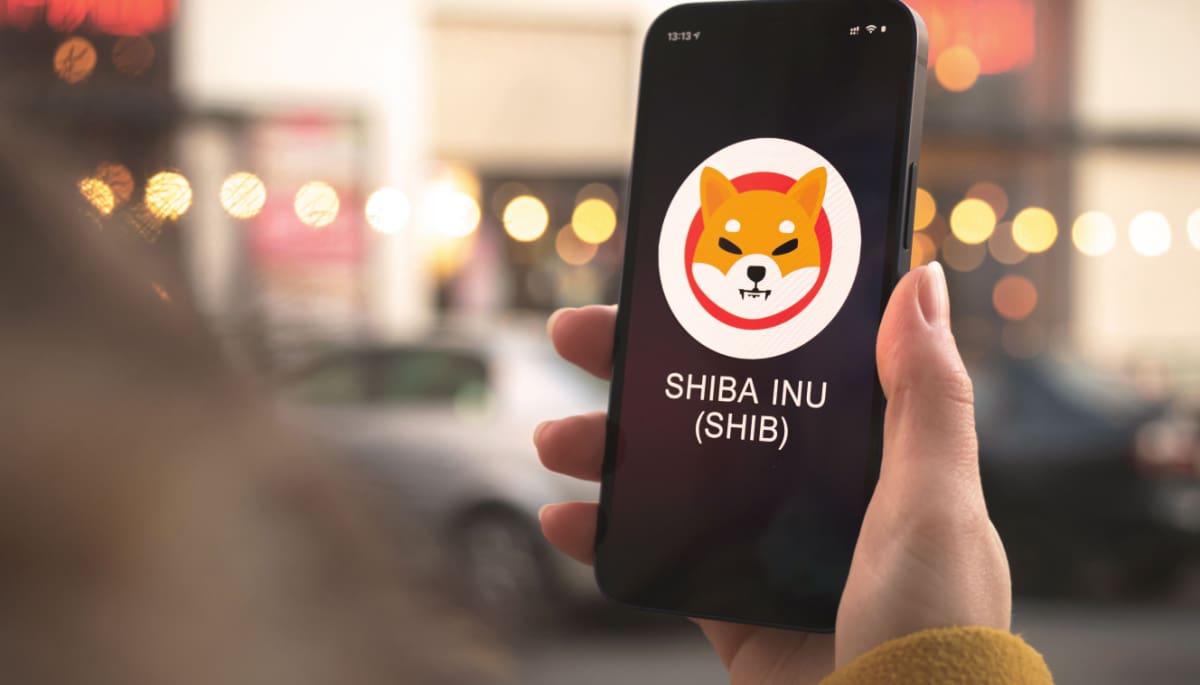 Shiba Inu sammelt Millionen für den Aufbau eines neuen Blockchain-Netzwerks