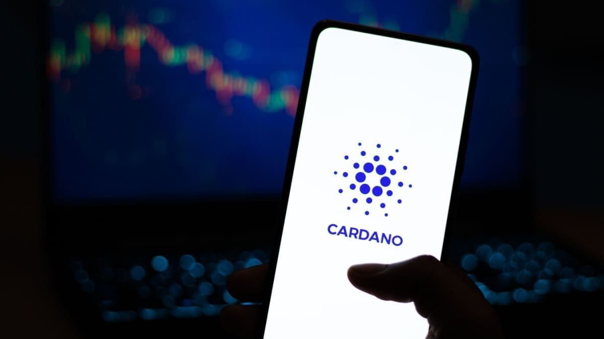 La plus grande partie des jetons Cardano est d&eacute;sormais entre les mains de mega-investisseurs