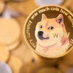 Dogecoin-Besitzer feiern heute DOGE Day - das kannst Du erwarten