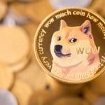 Dogecoin Tag - das kannst du erwarten