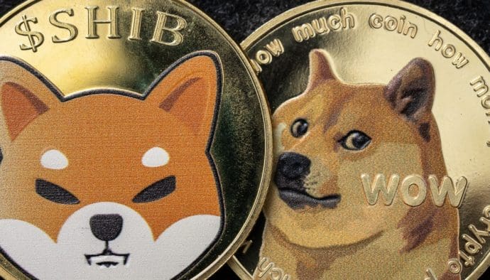 Wie geht es weiter mit Shiba Inu und Dogecoin?