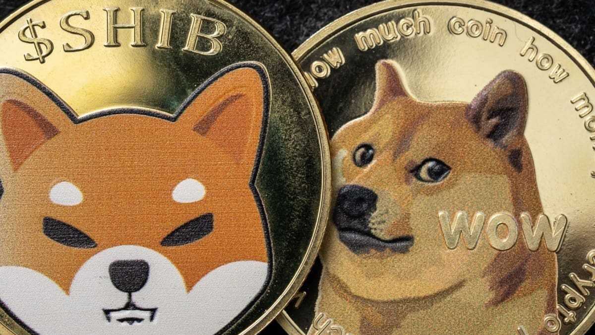 Wie geht es weiter mit Shiba Inu und Dogecoin?