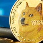 Dogecoin ist nicht tot, Investoren gehen wieder Risiken ein