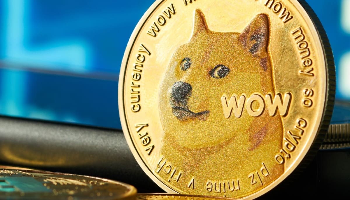 Dogecoin ist nicht tot, Investoren gehen wieder Risiken ein