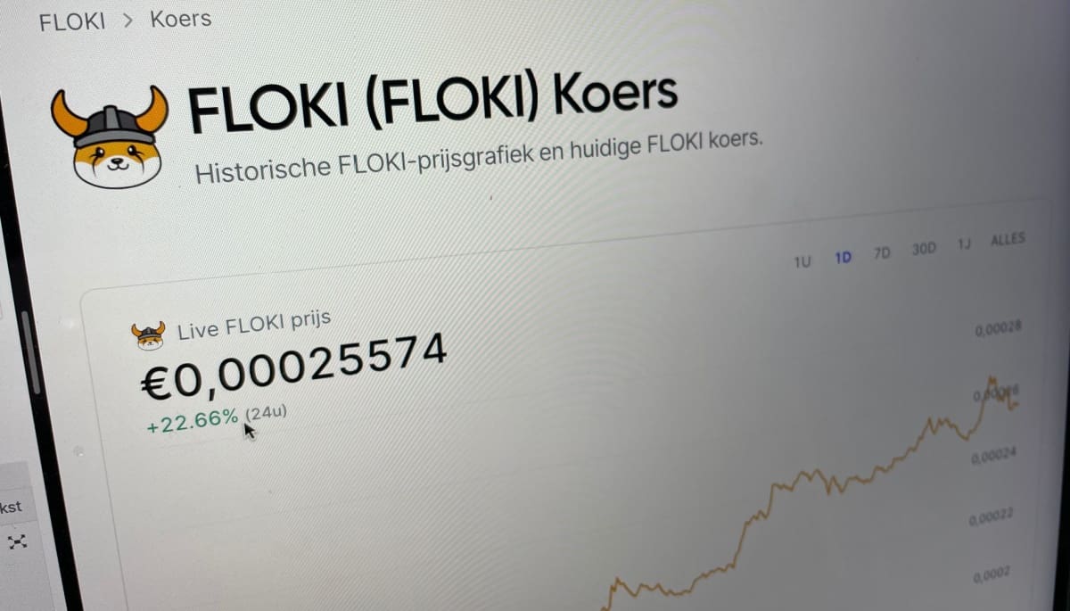 Floki steigt weiter an