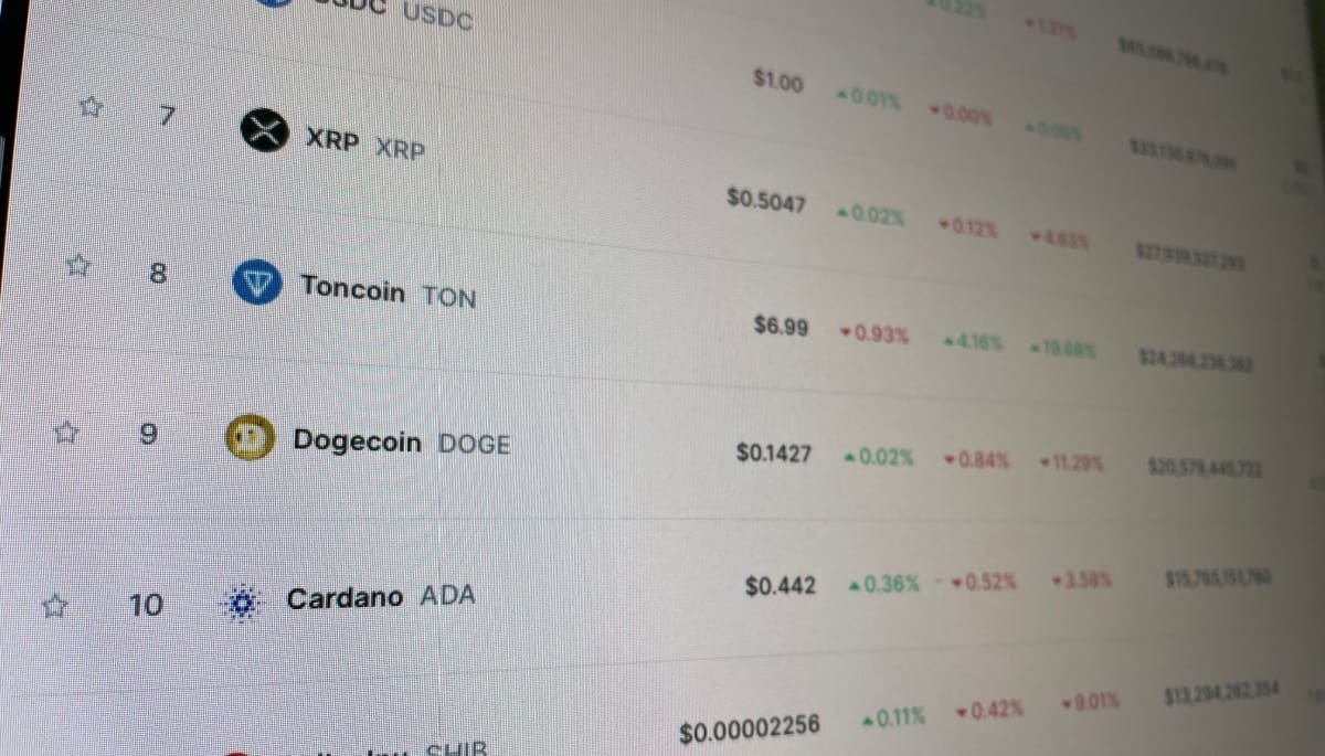 Krypto-Radar: Toncoin bereits 50% im Plus, hier ist der Grund