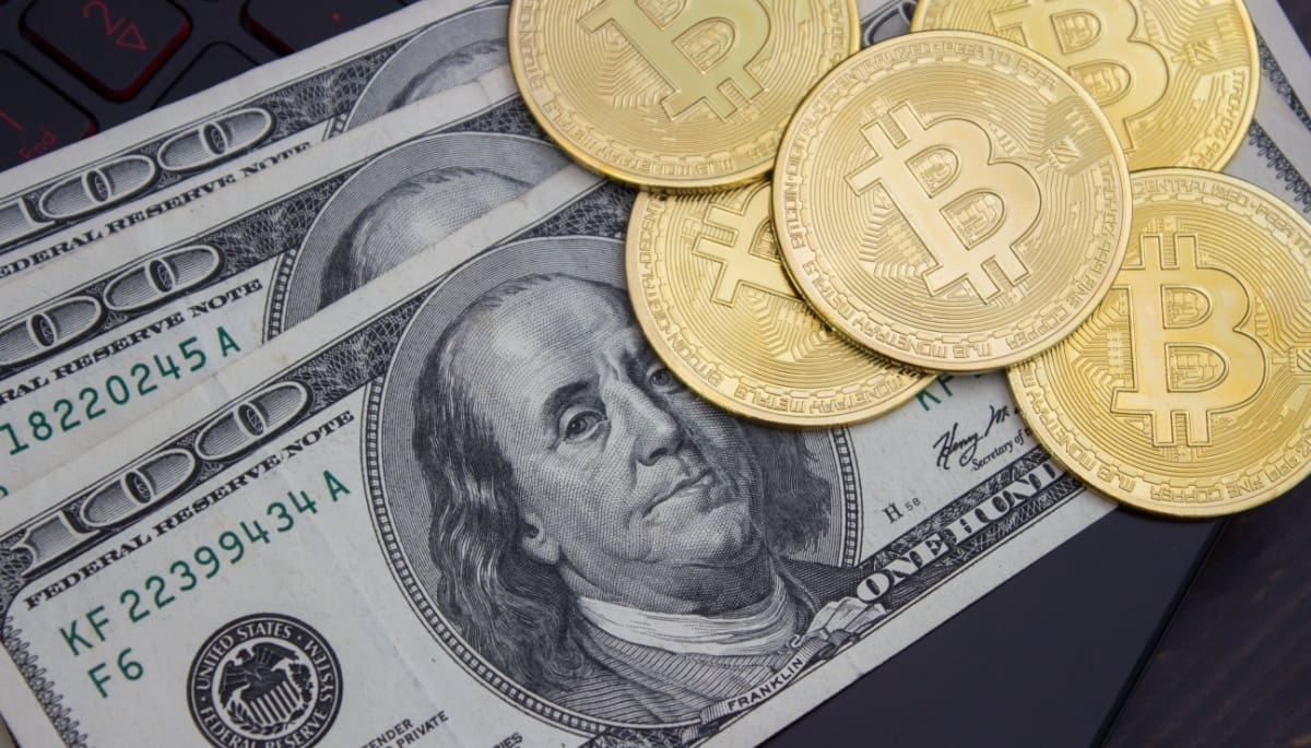 Krypto oder Bargeld? FTX-Opfer stimmen ab, wie sie ausgezahlt werden