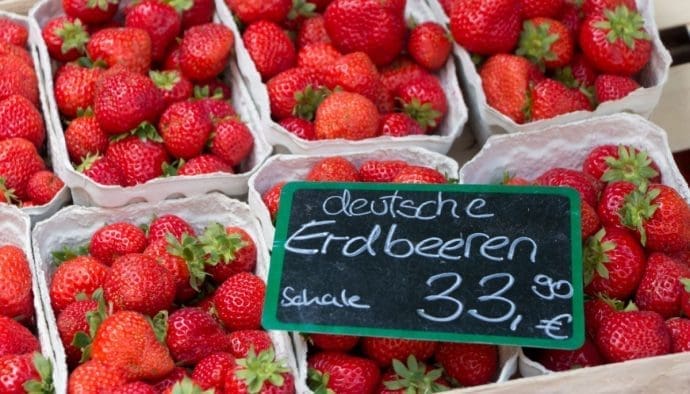 Deutsche Wirtschaft unter Druck: Energiepreise drücken Stimmung