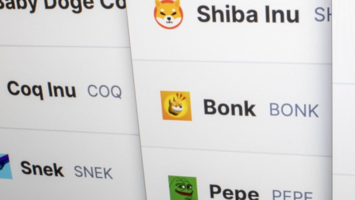 Man verdient fast 1 Million Euro mit Memecoin, trotz Mega-Crash