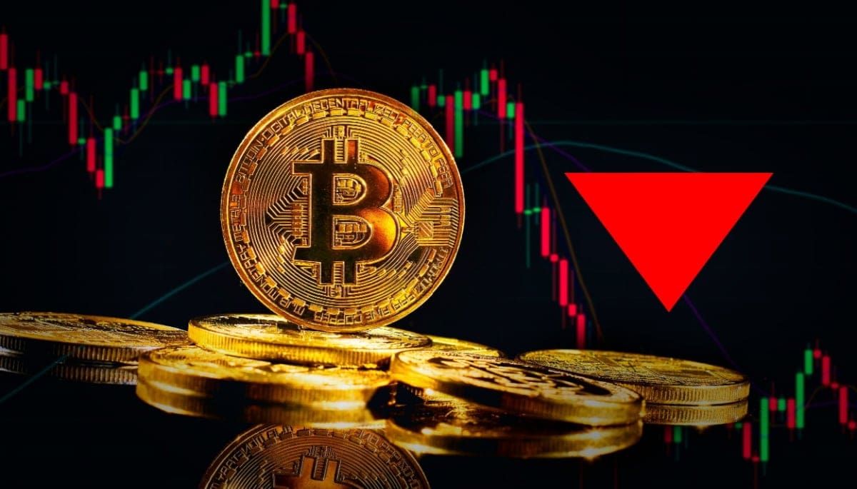 Herausgefunden: Bitcoin steigt weiter an - wird es jemals einen Crash geben?