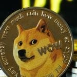 Untersucht: Kann Dogecoin auf 1 $ steigen? Welche Rolle spielt Elon Musk?