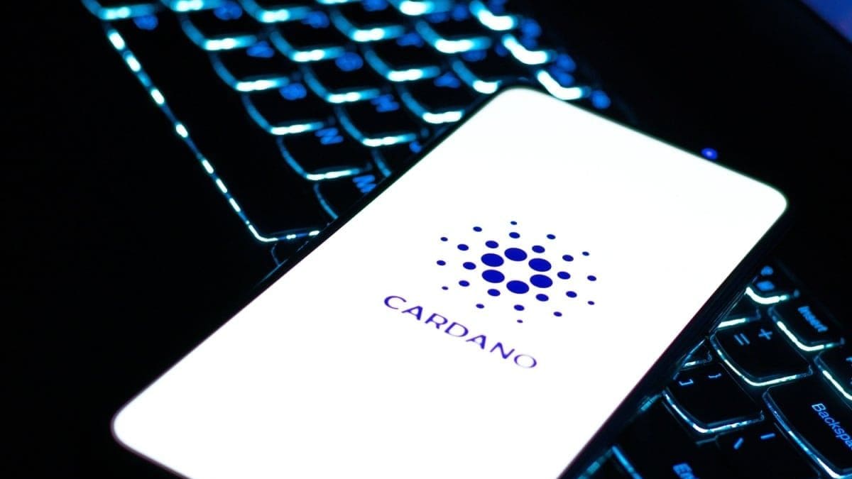 Cardano-Wale kaufen weiter zu – sie besitzen inzwischen 67 Prozent des Angebots