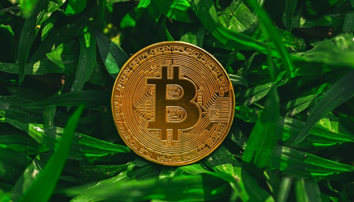 MiCA: Deutsche Krypto-Firmen nutzen ESG-Daten von Crypto Risk Metrics