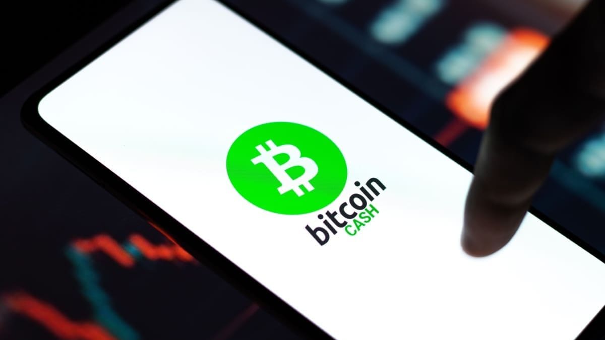 Bitcoin Cash legt 2025 deutlich zu, während Bitcoin schwächelt