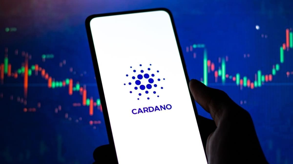 1.230 Millionen Cardano in Bewegung durch große Investoren