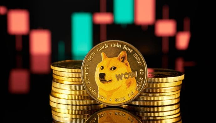 Der Dogecoin-Aktienfonds wird vorgestellt, der Preis steigt um 12 %