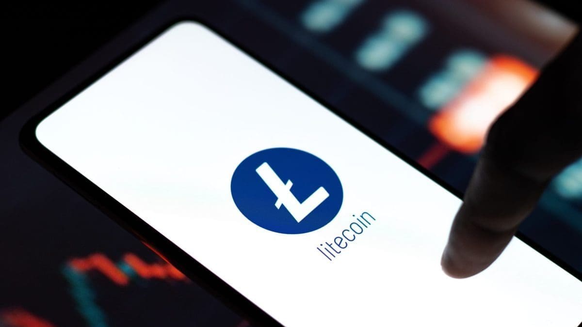 Gro&szlig;investoren kaufen verst&auml;rkt Litecoin trotz Kursr&uuml;ckgangs