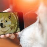 Warum steigt Dogecoin heute so stark?