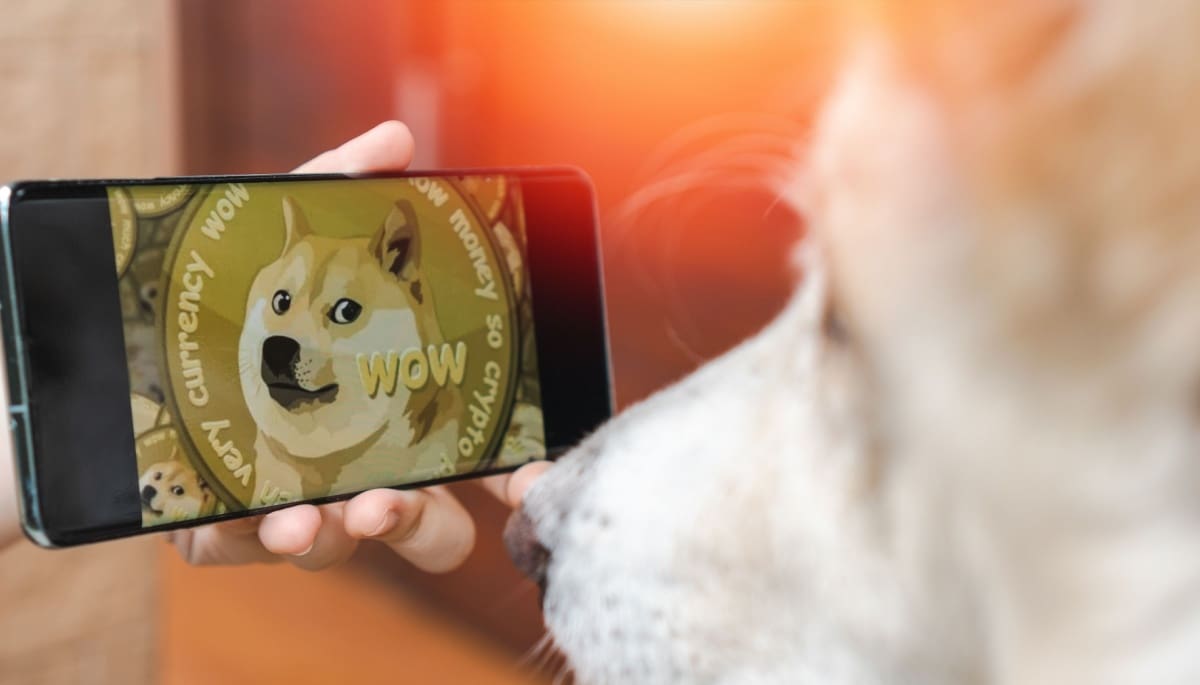 Warum steigt Dogecoin heute so stark?