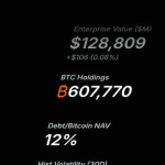 Wer besitzt 2025 die meisten Bitcoins? Ein Überblick