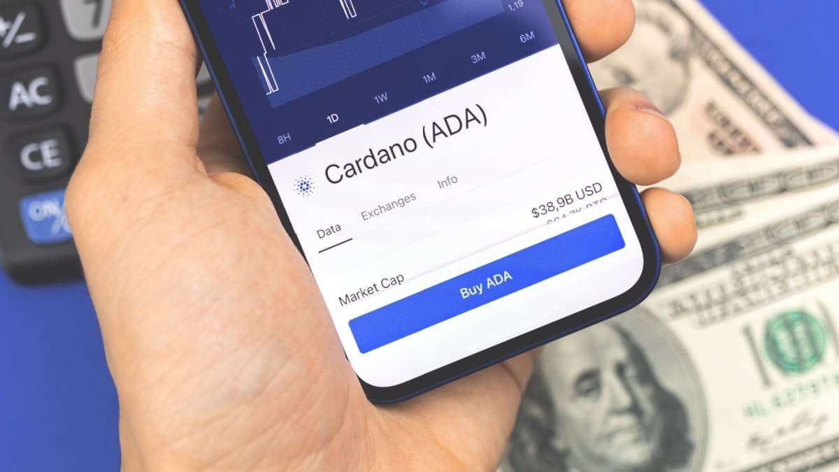 Große Cardano-Investoren kaufen 100 Millionen ADA