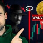 Hat ein Wal wirklich den Bitcoin-Crash ausgelöst?