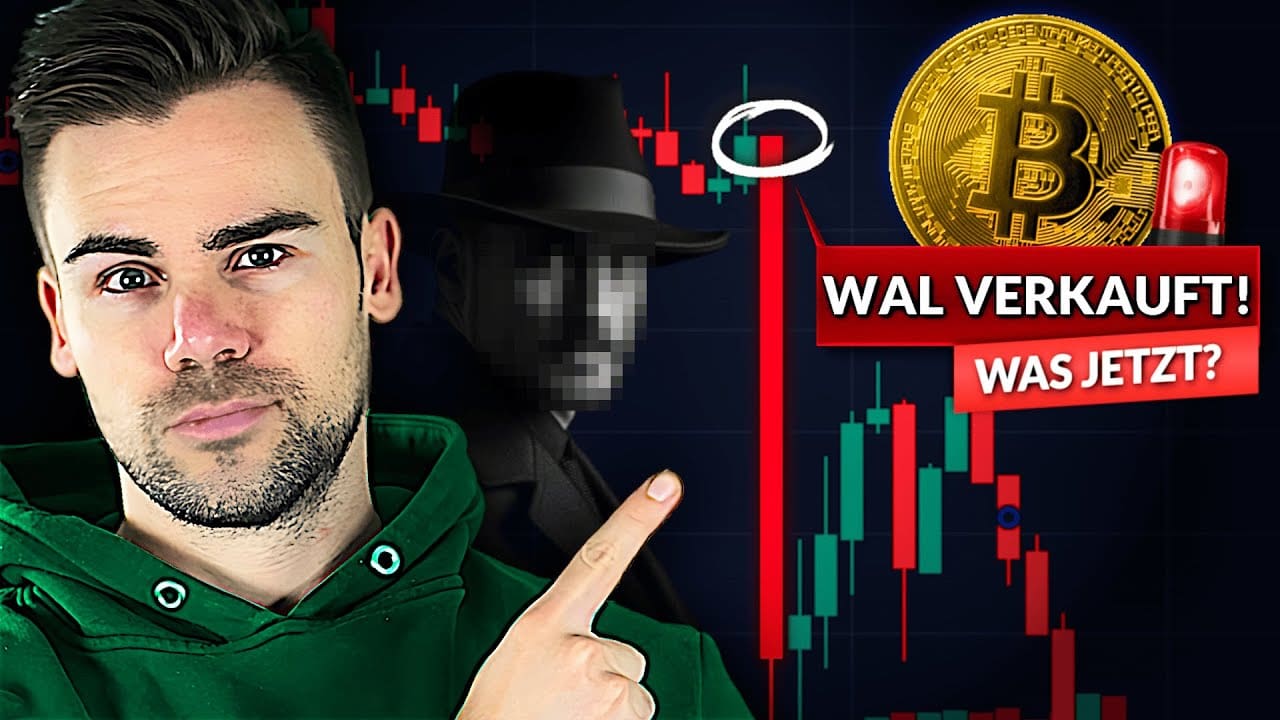 Hat ein Wal wirklich den Bitcoin-Crash ausgelöst?