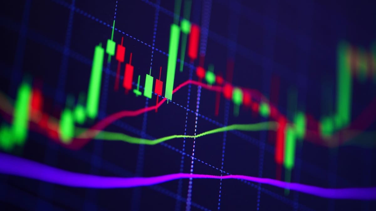 Krypto-Radar: Markt im Plus aufgrund hoher Erwartungen hinsichtlich der Zinsentscheidung
