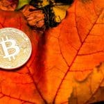 Le Bitcoin va-t-il baisser en octobre ? Voici ce que disent les analystes