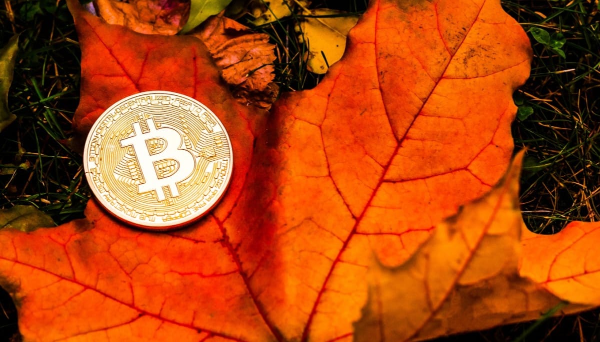 Le Bitcoin va-t-il baisser en octobre ? Voici ce que disent les analystes