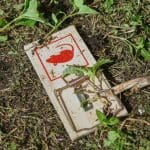 Een afbeelding van een muizenval die is verborgen in het gras Ein Bild von einer Mausefalle, die im Gras versteckt ist