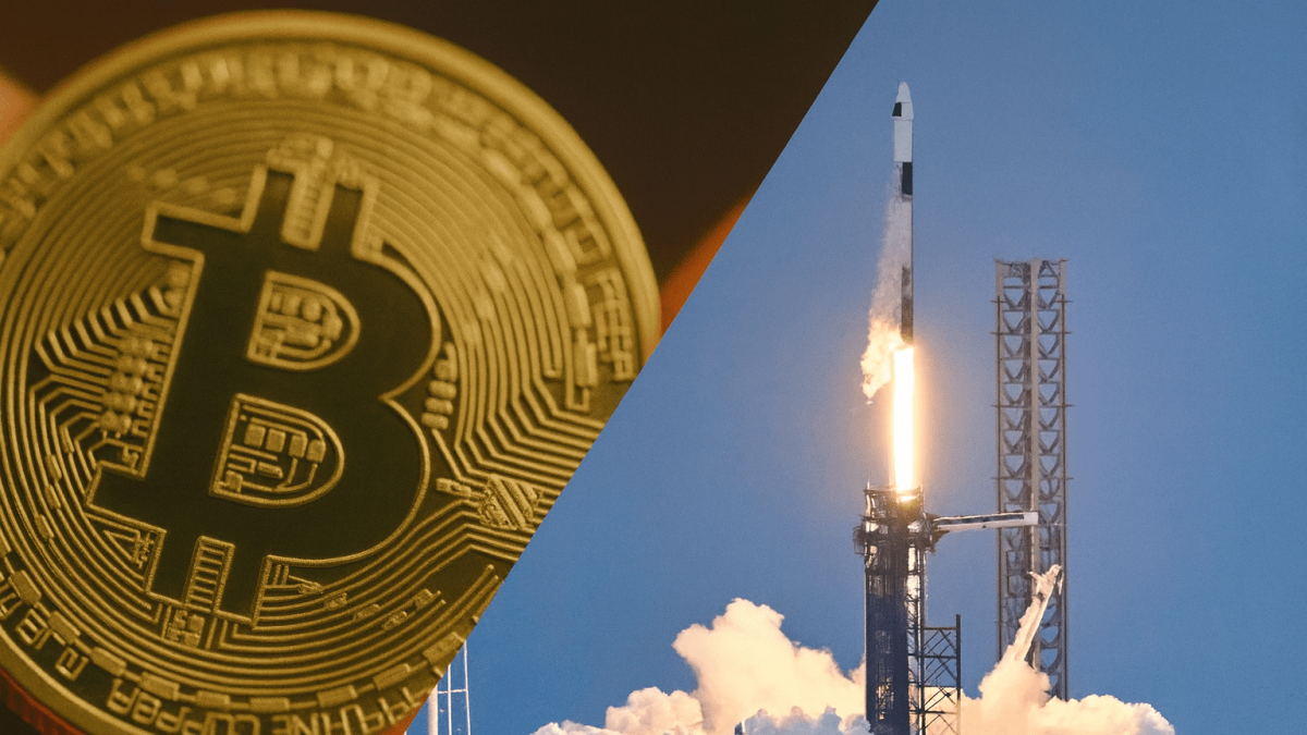 SpaceX von Musk verschiebt plötzlich 232 Millionen Euro an Bitcoin