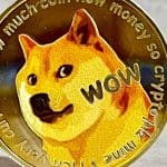 Dogecoin zeigt Kaufsignal – zuvor stieg der Kurs um 445 %