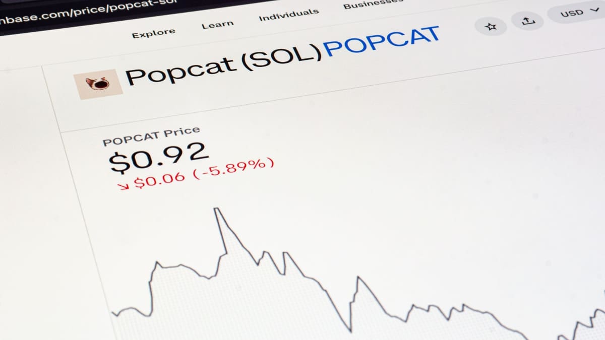 Een afbeelding van de pagina van memecoin popcat op een cryptobeurs, met een grafiek van de koers en een dalende prijs