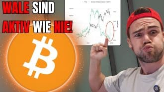 Starke Wal-Käufe, schwacher Kurs: Was Bitcoin jetzt bremst