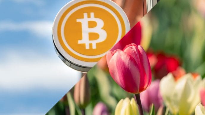 Top-Analyst vergleicht Krypto mit Tulpenmanie: „Bitcoin ist anders“