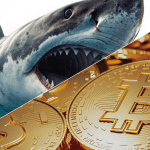Bitcoin-„Sharks“ kaufen so schnell wie seit 13 Jahren nicht