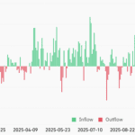 Bitcoin- und Ethereum-ETFs bluten stark bei „extremer Angst“
