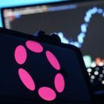 Polkadot sticht heraus: Warum dieser Coin steigt