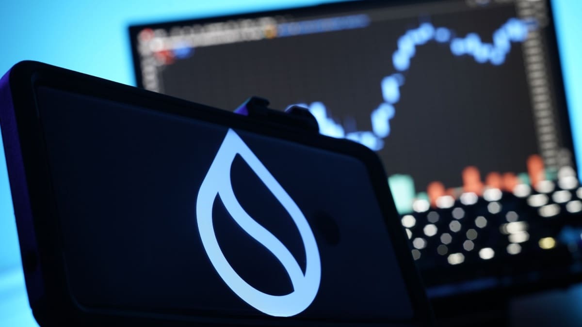 Sui steigt 30 % in 24 Stunden – Erwartungen übertroffen