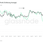 Hat XRP noch eine Zukunft? Analysten sind kritisch