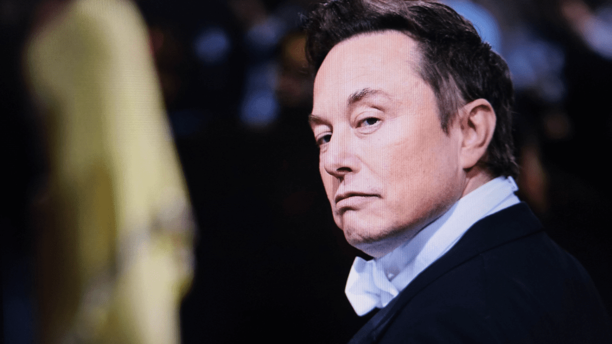 Internationale Kritik an Box 3 – auch Elon Musk reagiert
