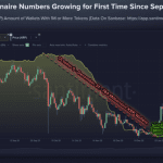 XRP-Wallets mit über 1 Million Token wachsen stark in diesem Monat