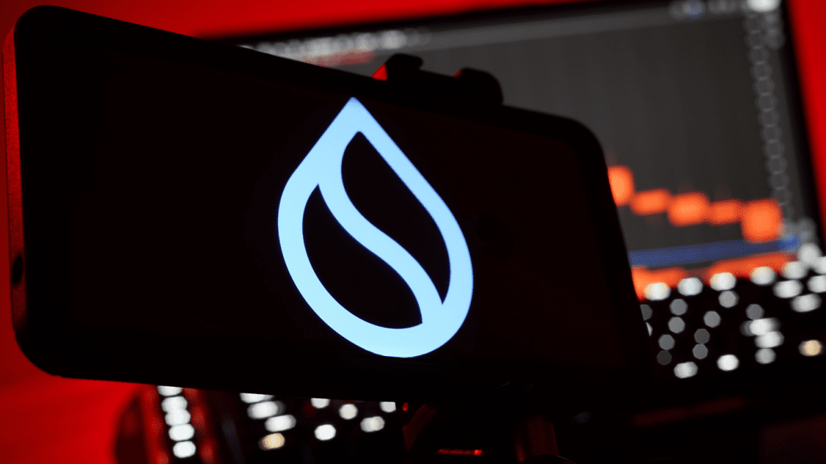 Große Störung bei Sui – Kurs bleibt dennoch stabil