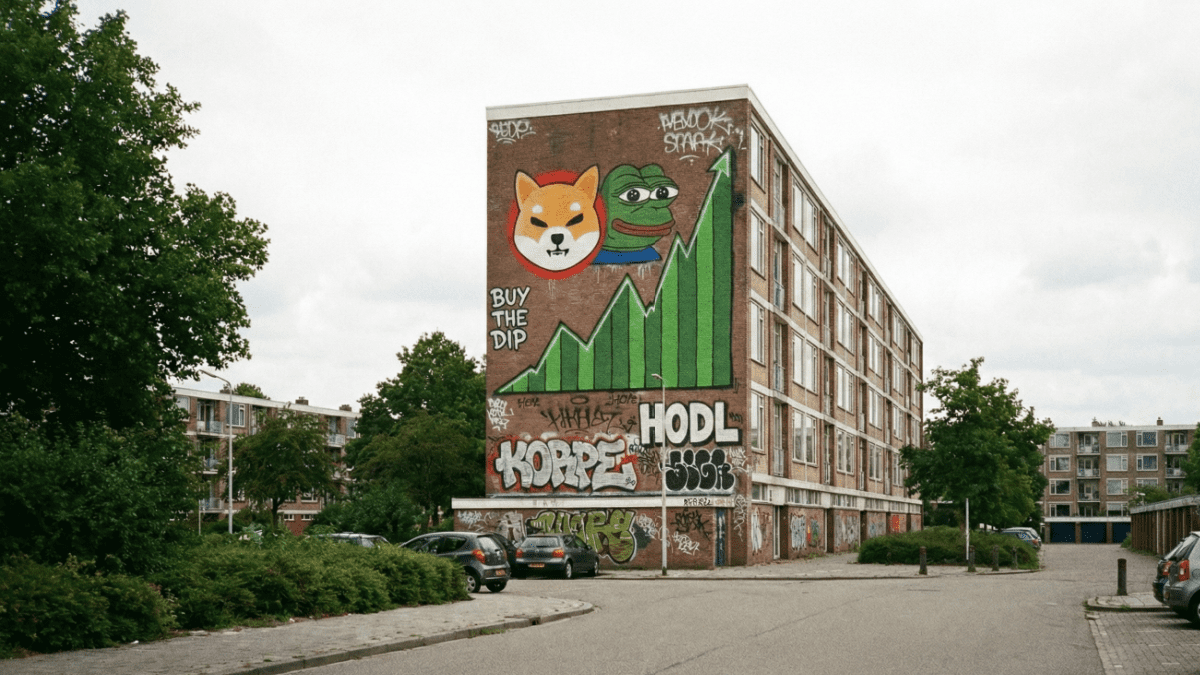 pepe bonk stijging buy the dip