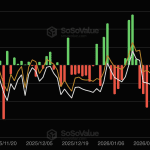 Bitcoin-ETFs stürzen ab: Gesamtwert unter 100 Mrd. $