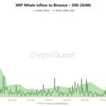 12,5 Mrd. XRP zu Binance: Kursrückgang möglich